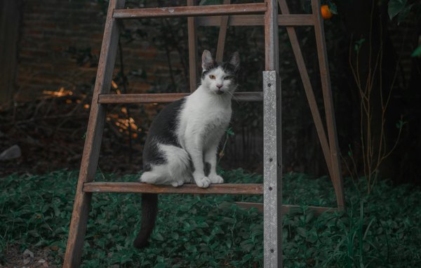 Cours de massage assis à lausanne : apprenez en 2 jours