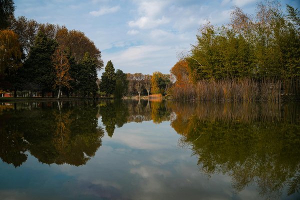 Découvrez les bienfaits de la cryothérapie machine pour votre santé